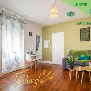 https://le-jungle-hyper-centre-tout-confort-wifi.midi-pyreneeshotels.com